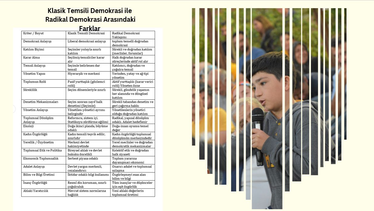 KLASİK TEMSİLİ DEMOKRASİ İLE RADİKAL DEMOKRASİ ARASINDAKİ FARK